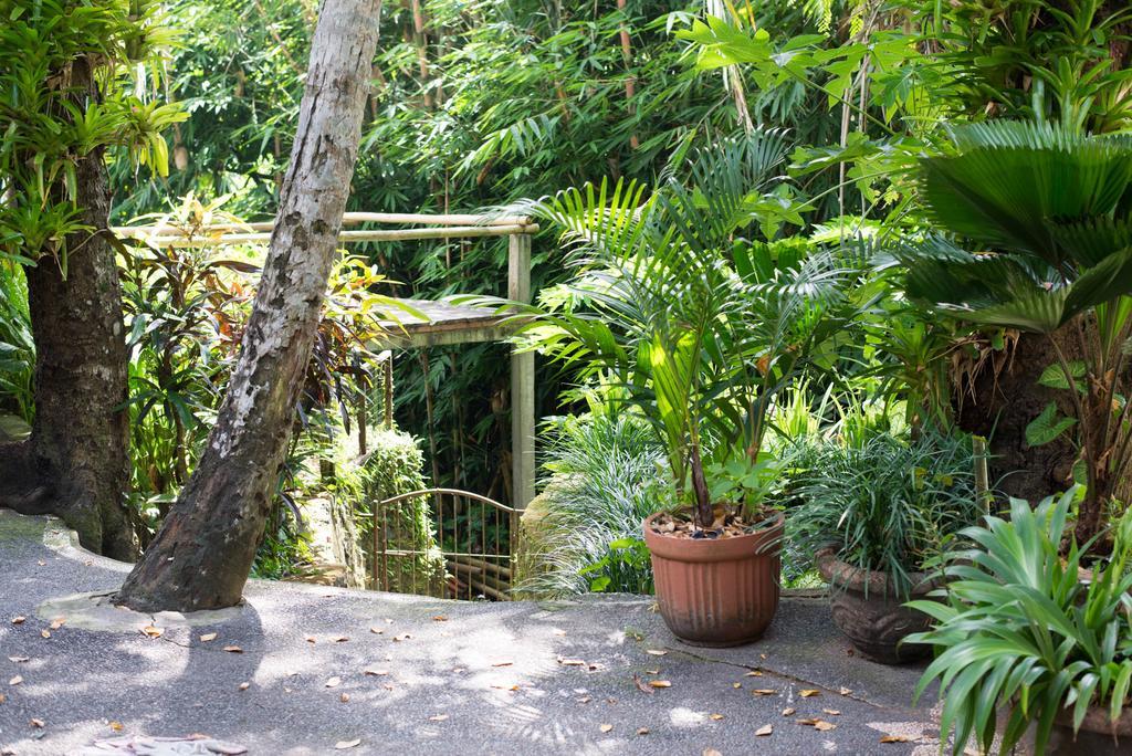Serenity House Hotel Ubud  Luaran gambar